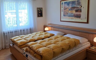 Neue 3.5 Zimmerwohnung